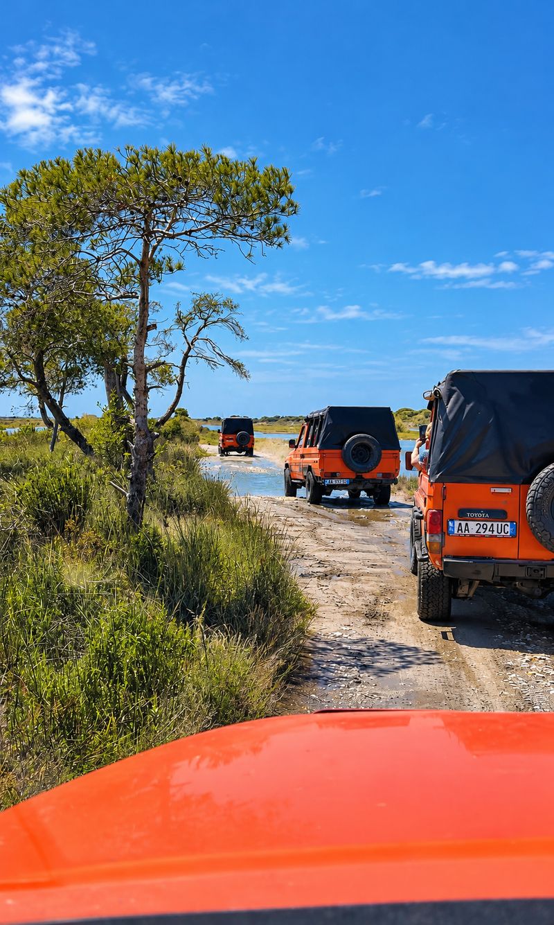 4x4 tour on a pine forest trail seen from the jeep bonnet