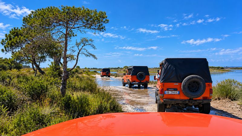 4x4 tour: jeeps crossing water through the pine forest near the Karavasta Lagoon